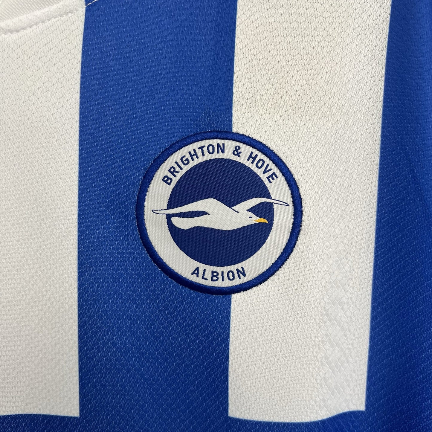 BRIGHTON PRIMERA EQUIPACIÓN 25/26